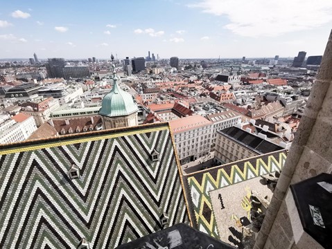 Katedrála sv. Štěpána