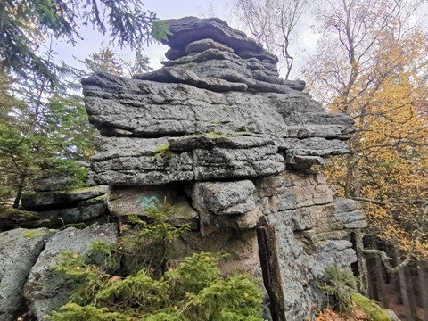 Přírodní rezervace Koníček