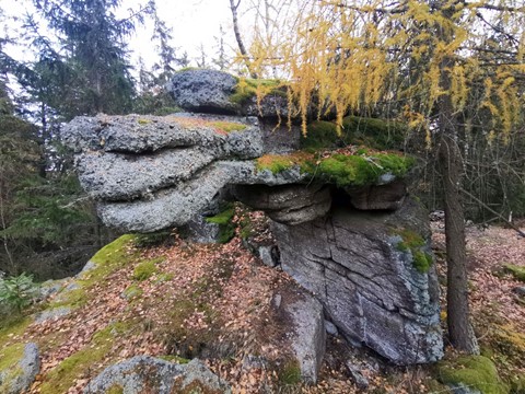 Přírodní rezervace Koníček