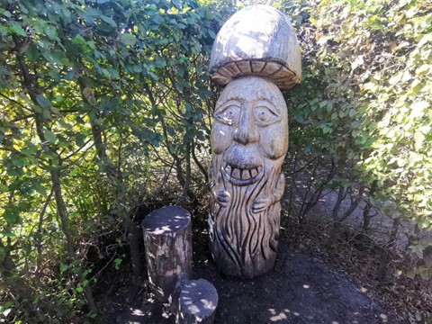Obludiště Dolní pěna
