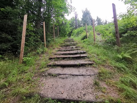 Pracovní tábor Svornost