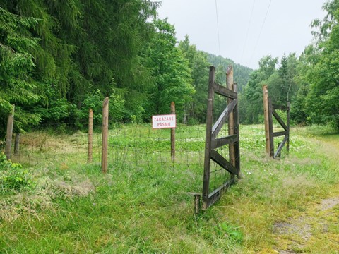 Pracovní tábor Svornost
