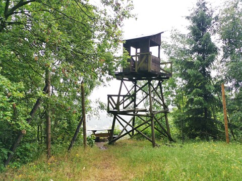 Pracovní tábor Svornost